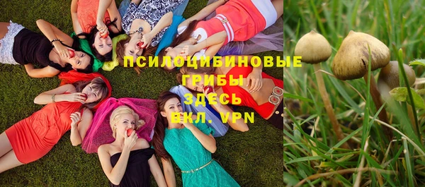 таблы Алзамай