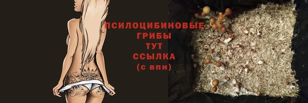 хмурый Алексин