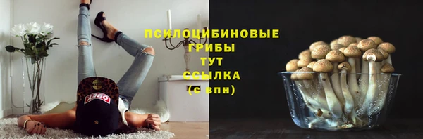 хмурый Алексин