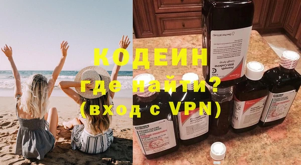 хмурый Алексин