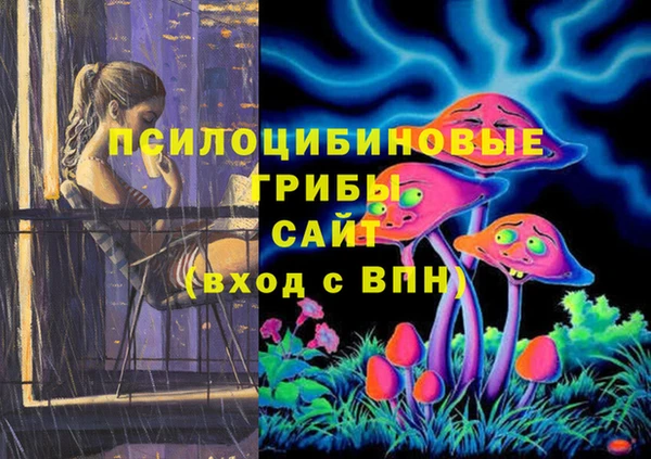 хмурый Алексин