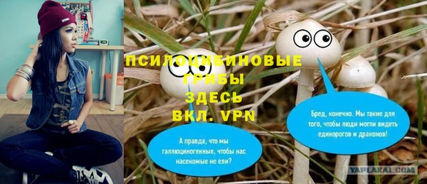 таблы Алзамай