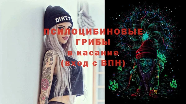 стафф Алексеевка