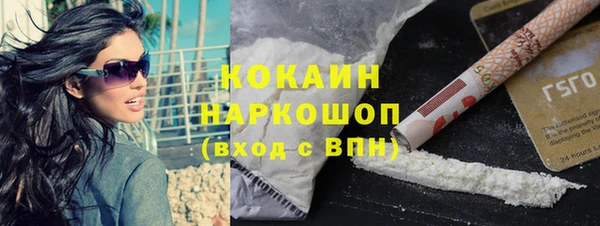 соль ск Абаза