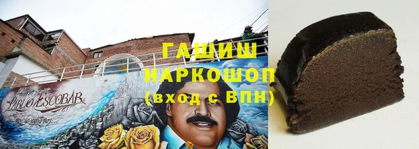 хмурый Алексин