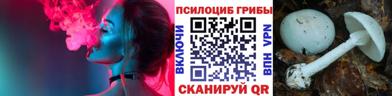 Псилоцибиновые грибы GOLDEN TEACHER shop Telegram Катайск